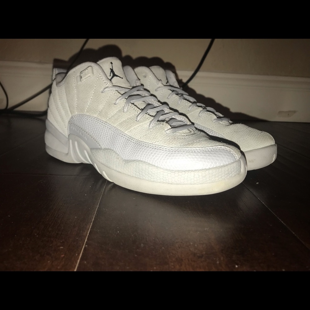 Air jordan 12s 🐺 (slightly used)